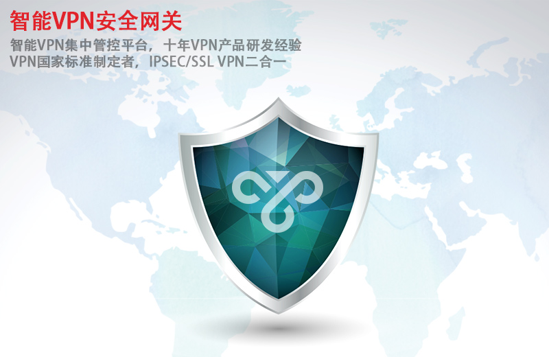 VPN安全网关产品.jpg