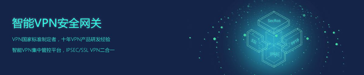 硬件VPN,VPN组网方案,VPN产品,VPN网关,VPN安全网关,VPN设备,VPN防火墙