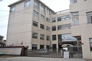 东莞VPN产品,荣强行选择中科网威硬件VPN方案