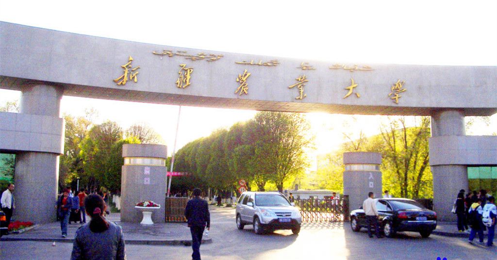 中科网威中标新疆农业大学网络行为审计与流控管理